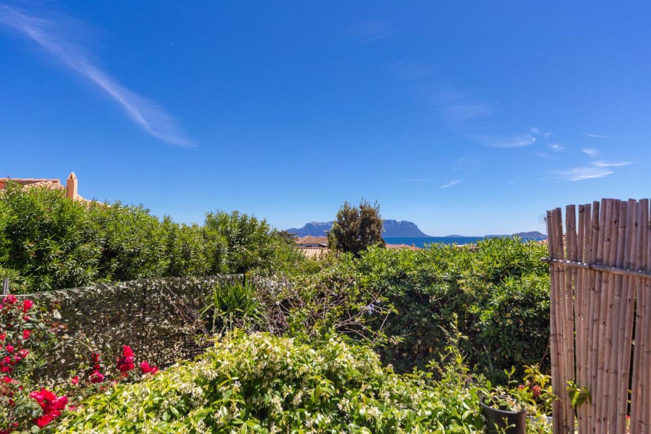 Casa Di Daniela Villa Golfo Aranci Dış mekan fotoğraf